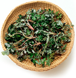 /uploads/images/bai-viet/intro.jpg