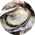 /uploads/images/bai-viet/thanhphan-congdung/hau-bien.png